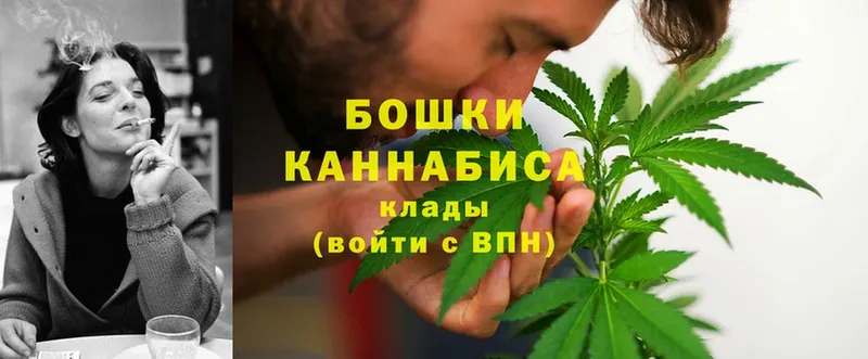 Бошки марихуана White Widow  где купить наркотик  Беломорск 